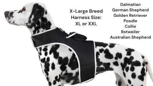 Realtime Mini GSM GPS Puppy Tracker Portable Pet Finder w/ Geo-fencing Size:L