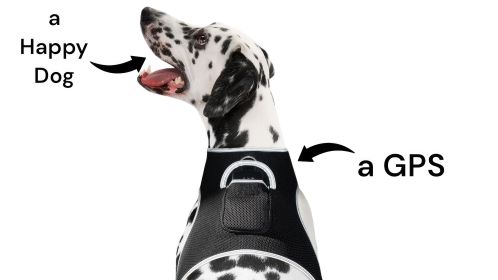 Realtime GPS Pet Tracker for Phone - Wireless Remote Pet Surveillance Size:L